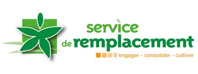 logo service de remplacement